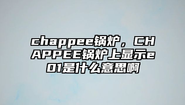 chappee鍋爐，CHAPPEE鍋爐上顯示e01是什么意思啊