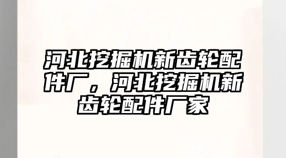 河北挖掘機(jī)新齒輪配件廠，河北挖掘機(jī)新齒輪配件廠家