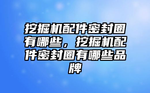 挖掘機配件密封圈有哪些，挖掘機配件密封圈有哪些品牌