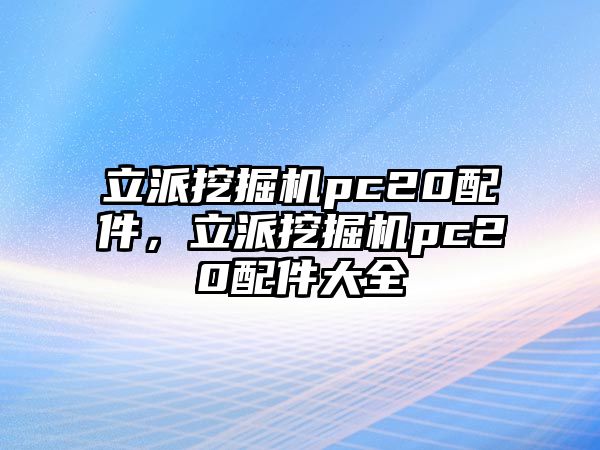 立派挖掘機(jī)pc20配件，立派挖掘機(jī)pc20配件大全