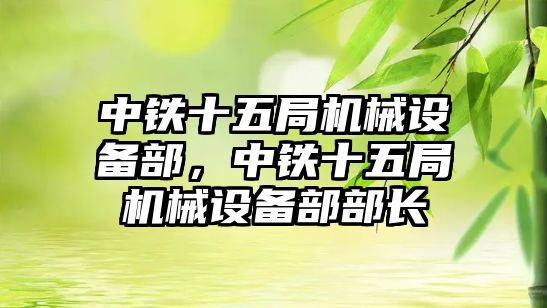 中鐵十五局機械設備部，中鐵十五局機械設備部部長