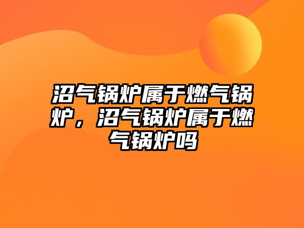 沼氣鍋爐屬于燃?xì)忮仩t，沼氣鍋爐屬于燃?xì)忮仩t嗎