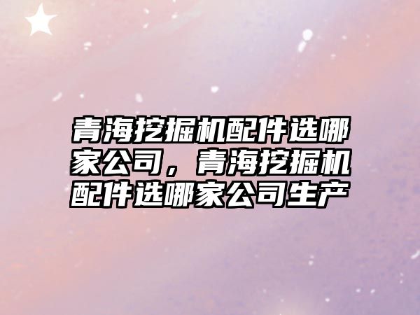 青海挖掘機配件選哪家公司，青海挖掘機配件選哪家公司生產