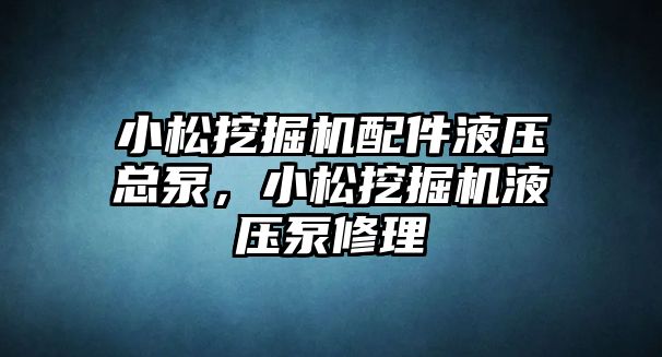 小松挖掘機配件液壓總泵，小松挖掘機液壓泵修理