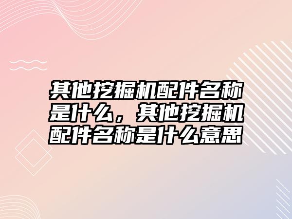 其他挖掘機配件名稱是什么，其他挖掘機配件名稱是什么意思