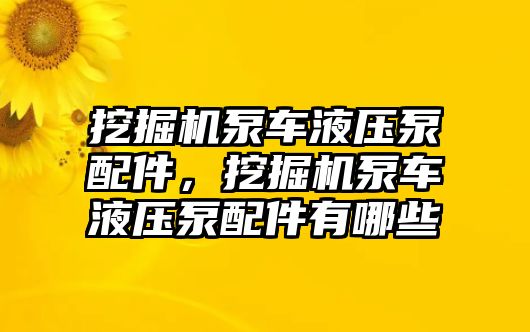 挖掘機泵車液壓泵配件，挖掘機泵車液壓泵配件有哪些