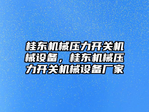 桂東機械壓力開關機械設備，桂東機械壓力開關機械設備廠家