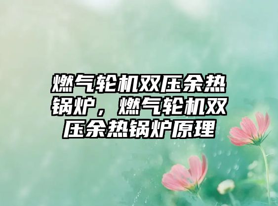 燃?xì)廨啓C雙壓余熱鍋爐，燃?xì)廨啓C雙壓余熱鍋爐原理