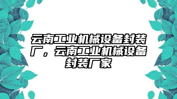 云南工業(yè)機械設(shè)備封裝廠，云南工業(yè)機械設(shè)備封裝廠家