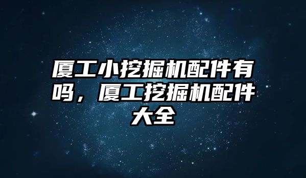 廈工小挖掘機配件有嗎，廈工挖掘機配件大全