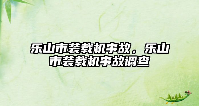 樂山市裝載機事故，樂山市裝載機事故調查