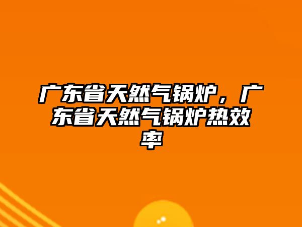 廣東省天然氣鍋爐，廣東省天然氣鍋爐熱效率