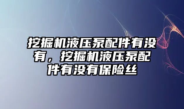 挖掘機液壓泵配件有沒有，挖掘機液壓泵配件有沒有保險絲