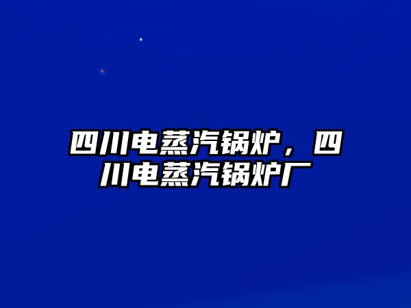 四川電蒸汽鍋爐，四川電蒸汽鍋爐廠