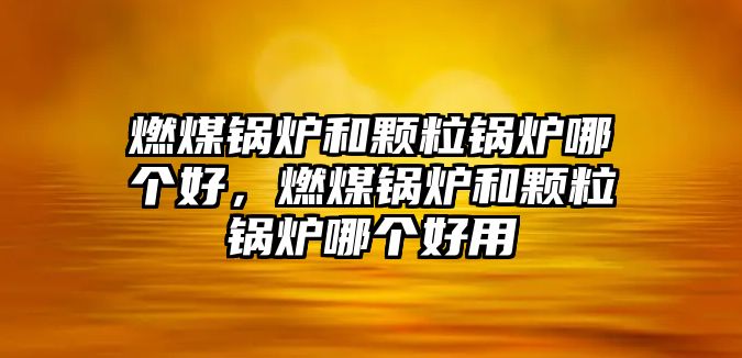 燃煤鍋爐和顆粒鍋爐哪個好，燃煤鍋爐和顆粒鍋爐哪個好用