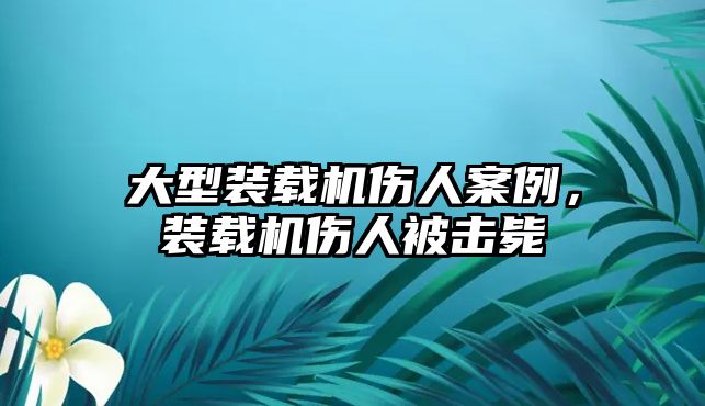 大型裝載機傷人案例，裝載機傷人被擊斃