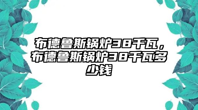 布德魯斯鍋爐38千瓦，布德魯斯鍋爐38千瓦多少錢(qián)