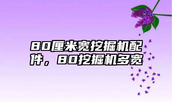 80厘米寬挖掘機(jī)配件，80挖掘機(jī)多寬