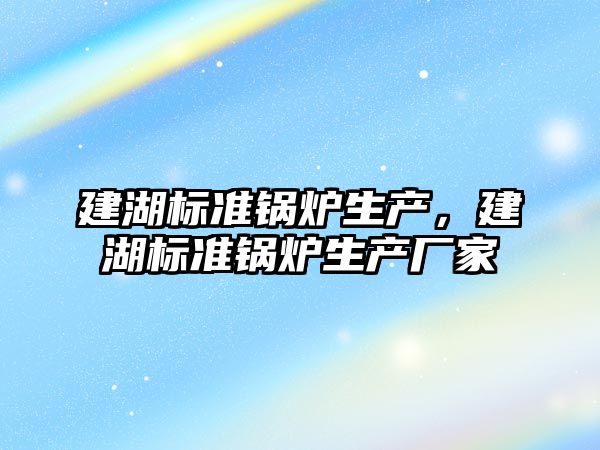 建湖標準鍋爐生產，建湖標準鍋爐生產廠家