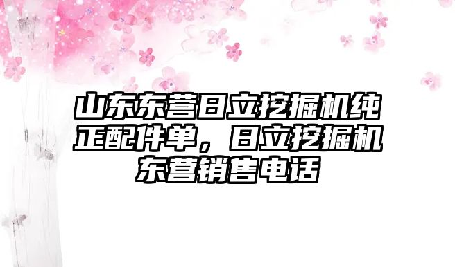 山東東營日立挖掘機純正配件單，日立挖掘機東營銷售電話