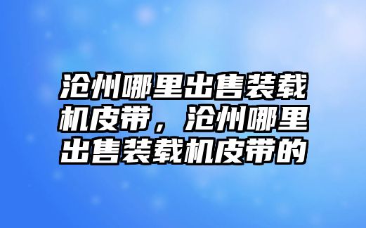 滄州哪里出售裝載機皮帶，滄州哪里出售裝載機皮帶的