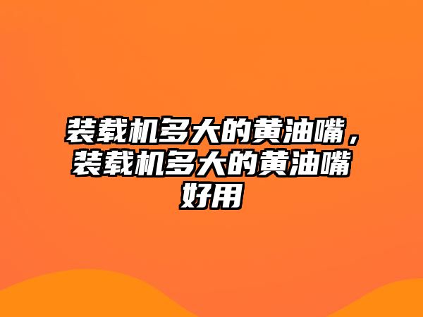 裝載機多大的黃油嘴，裝載機多大的黃油嘴好用