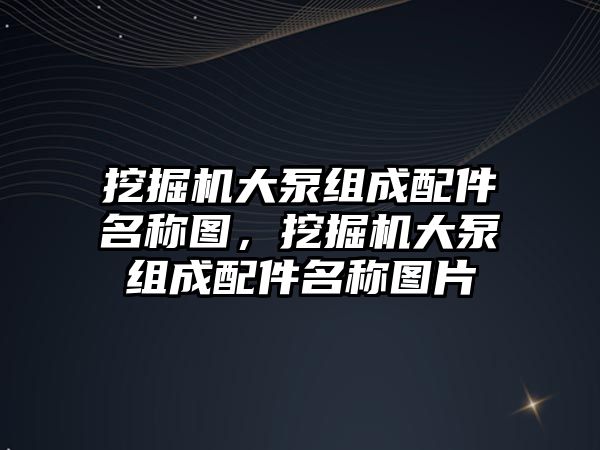 挖掘機大泵組成配件名稱圖，挖掘機大泵組成配件名稱圖片