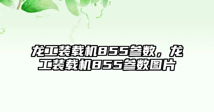 龍工裝載機855參數，龍工裝載機855參數圖片