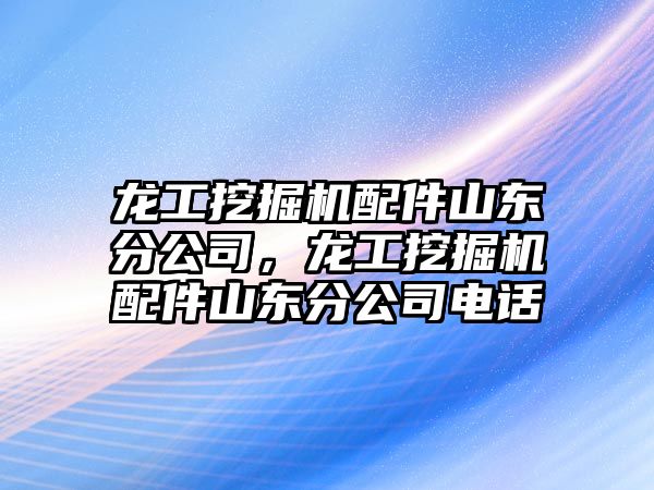 龍工挖掘機配件山東分公司，龍工挖掘機配件山東分公司電話