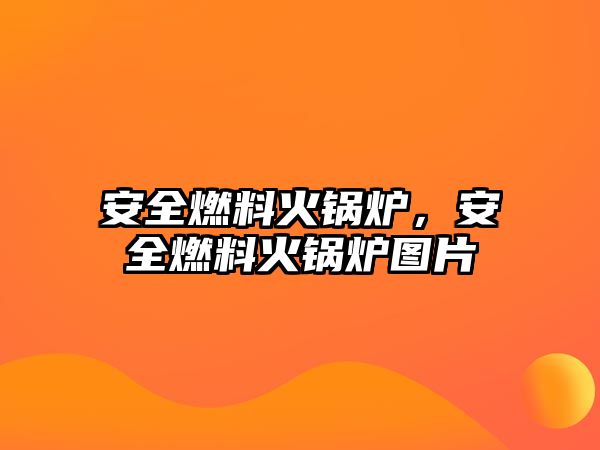 安全燃料火鍋爐，安全燃料火鍋爐圖片