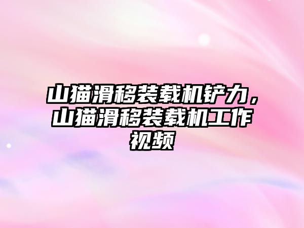 山貓滑移裝載機鏟力，山貓滑移裝載機工作視頻