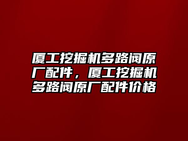 廈工挖掘機多路閥原廠配件，廈工挖掘機多路閥原廠配件價格