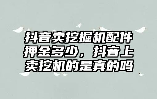 抖音賣挖掘機配件押金多少，抖音上賣挖機的是真的嗎