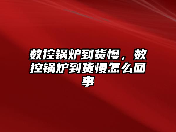 數控鍋爐到貨慢，數控鍋爐到貨慢怎么回事