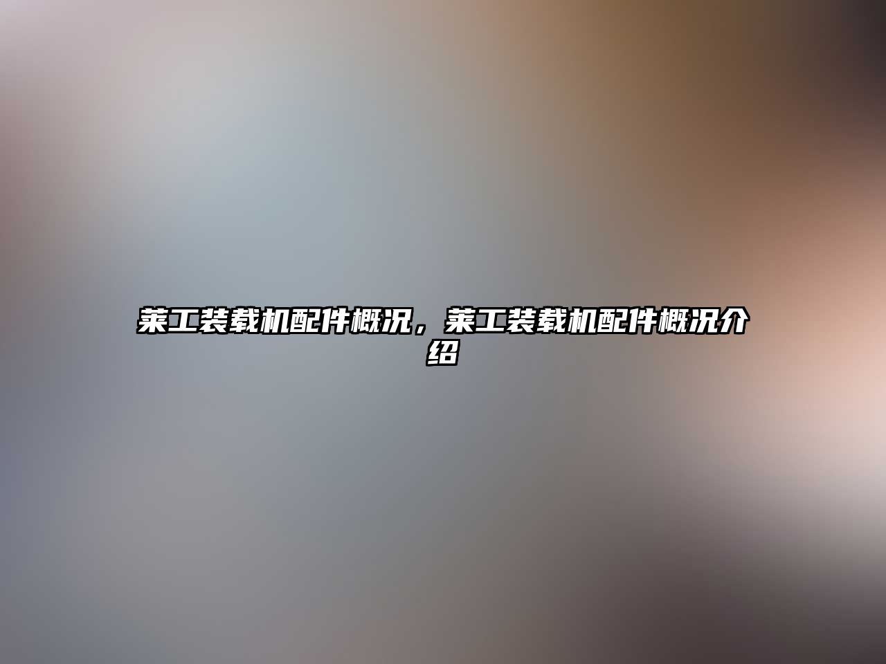 萊工裝載機配件概況，萊工裝載機配件概況介紹