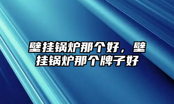 壁掛鍋爐那個好，壁掛鍋爐那個牌子好