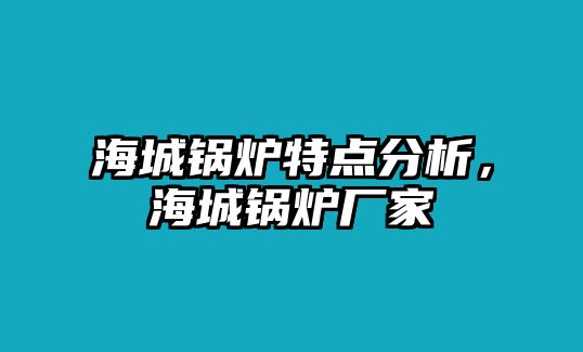 海城鍋爐特點分析，海城鍋爐廠家