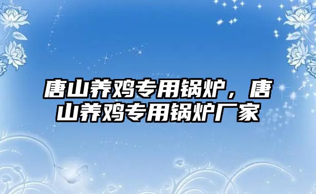 唐山養(yǎng)雞專用鍋爐，唐山養(yǎng)雞專用鍋爐廠家