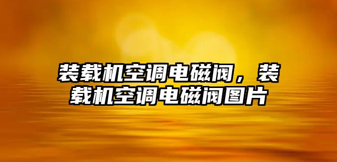 裝載機空調電磁閥，裝載機空調電磁閥圖片