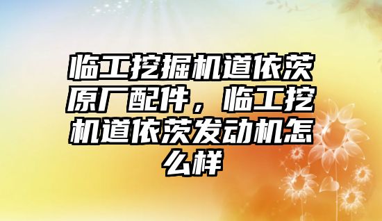 臨工挖掘機道依茨原廠配件，臨工挖機道依茨發(fā)動機怎么樣