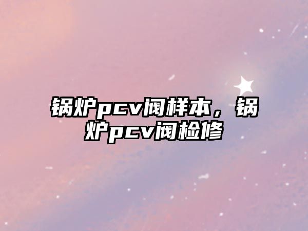 鍋爐pcv閥樣本，鍋爐pcv閥檢修