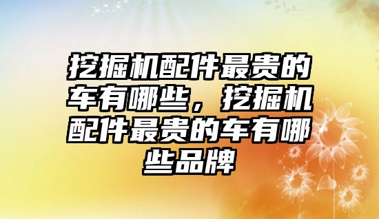 挖掘機配件最貴的車有哪些，挖掘機配件最貴的車有哪些品牌