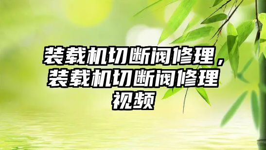 裝載機切斷閥修理，裝載機切斷閥修理視頻