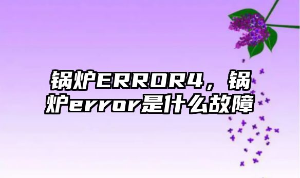 鍋爐ERROR4，鍋爐error是什么故障