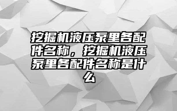 挖掘機(jī)液壓泵里各配件名稱，挖掘機(jī)液壓泵里各配件名稱是什么