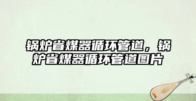 鍋爐省煤器循環管道，鍋爐省煤器循環管道圖片