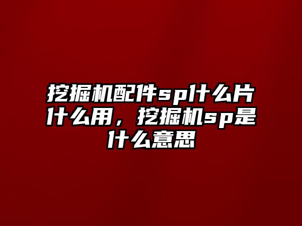 挖掘機配件sp什么片什么用，挖掘機sp是什么意思