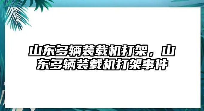 山東多輛裝載機打架，山東多輛裝載機打架事件