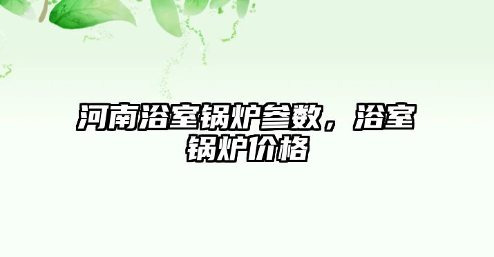 河南浴室鍋爐參數，浴室鍋爐價格