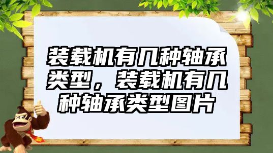 裝載機有幾種軸承類型，裝載機有幾種軸承類型圖片